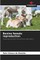 Bovine female reproduction