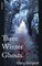 Three Winter Ghosts