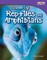 Slithering Reptiles and Amphibians