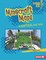 Minecraft Maps