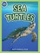 Sea Turtles Activity Workbook ages 4-8