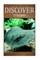 Stingray - Discover