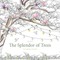 The Wisdom of Trees Coloring Book
