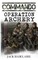 Operation Archery