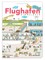 Das Flughafen Wimmelbuch