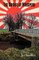 The Bridge of Whispers