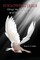 Following Jesus