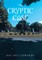 The Cryptic Case
