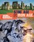 Hibbert, C: History Detective Investigates: Stone Age to Iro