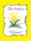 The Perfect Flower