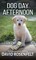 Dog Day Afternoon