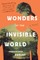 Wonders of the Invisible World