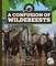 A Confusion of Wildebeests