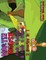 Marty Mouse Finds A House & Finds A Friend - 2 Stories in 1