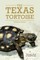 The Texas Tortoise