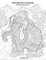 Wonderful Animals Coloring Book for Grown-Ups 4