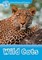 Oxford Read and Discover 1: Wild Cats