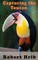 Capturing Toucan