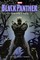 Black Panther: Panther's Rage