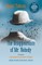 Disappearance of Mr. Nobody