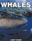 Whales