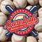 Baseball: America's Pastime (Fascinating Facts, Statistics, and Photos)