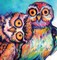 Animals, Volume 1
