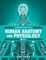 Essentials of Human Anatomy and Physiology