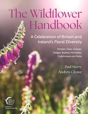 The Wildflower Handbook