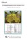 QTL Mapping using Intervarietal Substitution Lines in Rapeseed (Brassica napus L.)