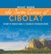 What Were the Seven Cities of Cibola? History of America Grade 3 Children's Exploration Books