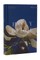 NRSV Catholic Edition Bible, Magnolia Hardcover (Global Cover Series)