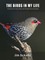The Birds in My Life