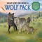 What Goes on Inside a Wolf Pack?