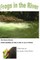 Frogs in the River