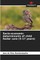 Socio-economic determinants of child foster care (5-17 years)