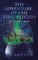 The Adventures of the Time Witches