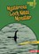 Mysterious Loch Ness Monster