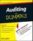 Auditing for Dummies
