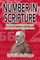 Number in Scripture