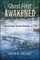 Ghost Fleet Awakened