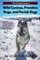 The Ultimate Guide to Wild Canines, Primitive Dogs, and Pariah Dogs
