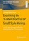 Examining the 'Golden' Practices of Small-Scale Mining