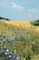The Smallholder's Encyclopaedia for Self-Sufficiency