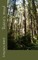 Robin's Wood