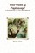 Your Name is Findumond - A Greek Odyssey of Your Own Making