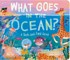 What Goes in the Ocean?