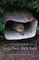 A Field Guide to Your Own Back Yard (Second Edition)