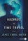 Hazards of Time Travel