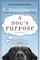 A Dog's Purpose